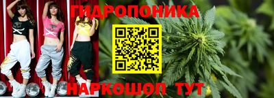 гашиш Заводоуковск