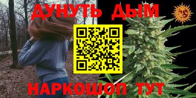 a pvp Дубна
