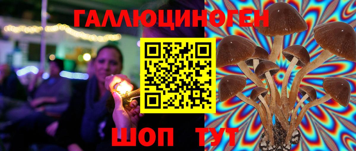 Псилоцибиновые грибы Psilocybe  Вход с VPN  Ликино-Дулёво 